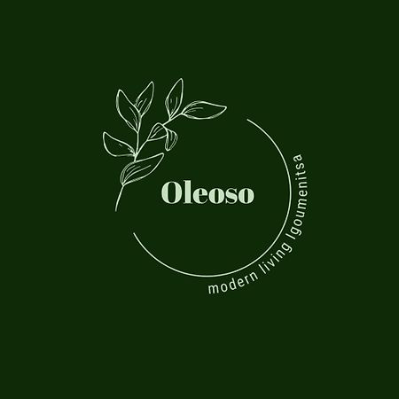 Apartmán Oleoso Igumenica Exteriér fotografie
